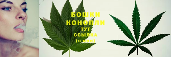 амф Арсеньев