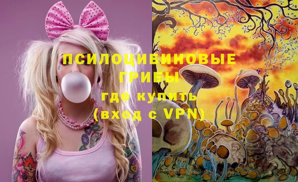 молекула духа Армянск