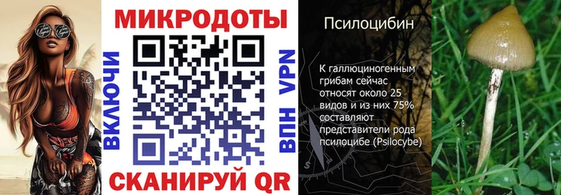 Галлюциногенные грибы MAGIC MUSHROOMS Закаменск